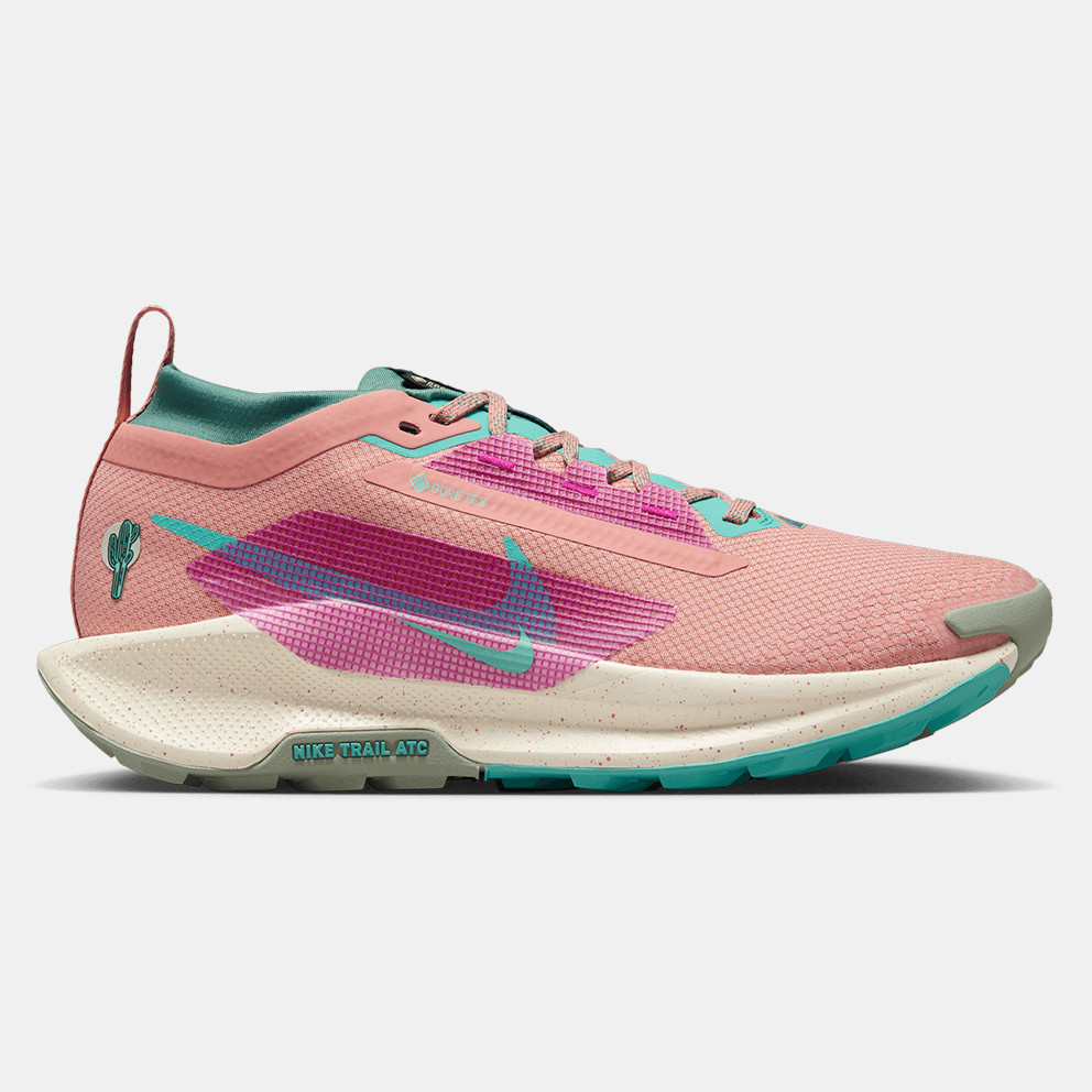 NIKE Pegasus Trail 5 GORE-TEX WOMEN'S SHOES